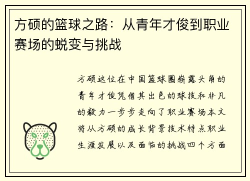 方硕的篮球之路：从青年才俊到职业赛场的蜕变与挑战